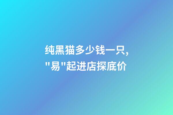 纯黑猫多少钱一只,"易"起进店探底价-第1张-观点-玄机派